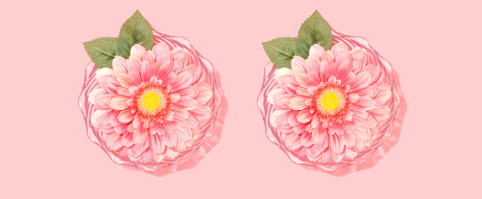 Why is breast augmentation so affordable at Wellness Kliniek?